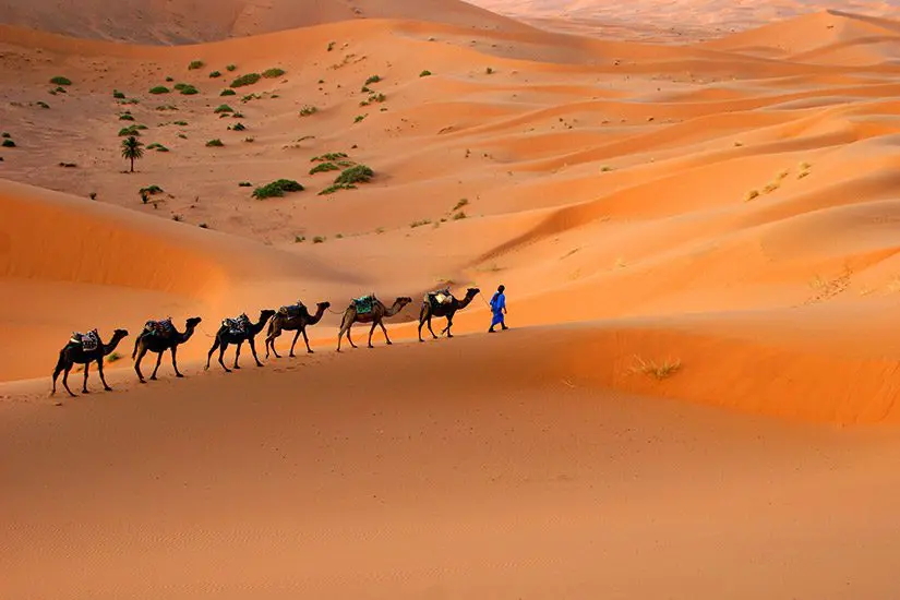 Sahara woestijn